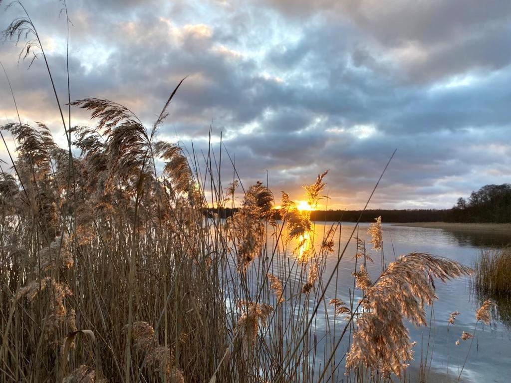 Ferienhaus Direkt Am See Uckermark Templin Luaran gambar
