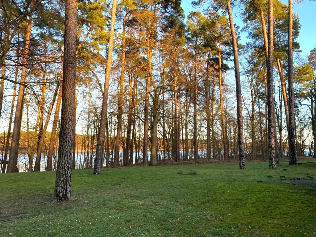 Ferienhaus Direkt Am See Uckermark Templin Luaran gambar